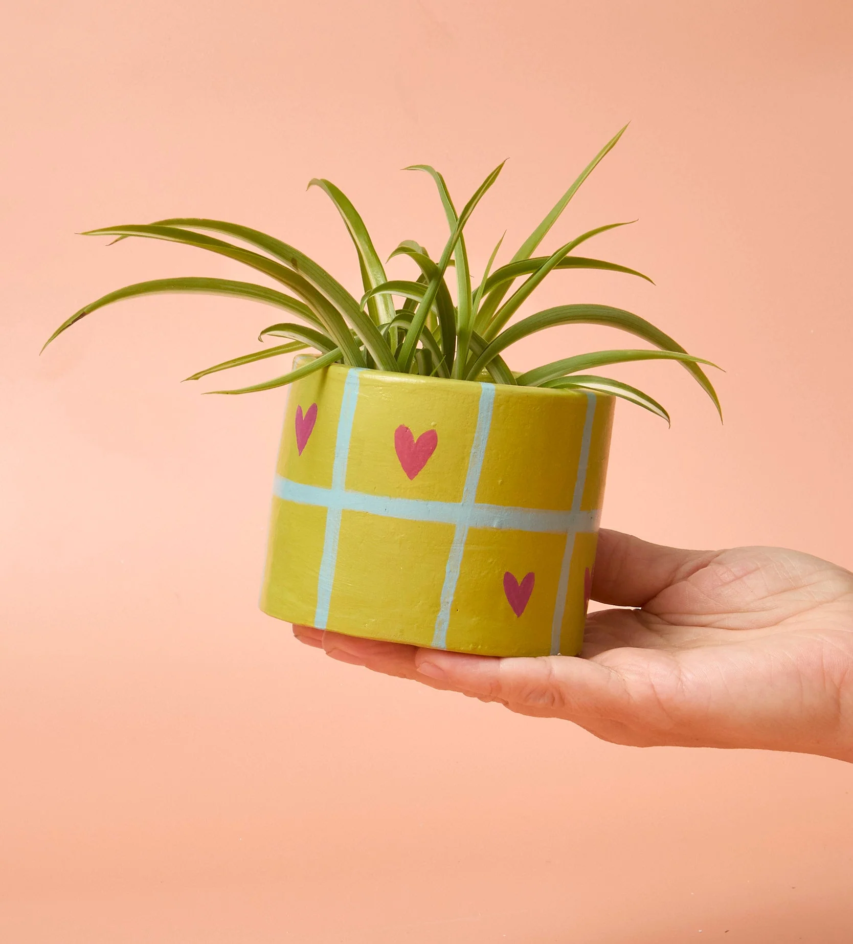 Home Pottery Kit - Image 132